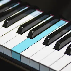 Взломанная Real Piano electronic keyboard (Риал Пиано)  [МОД Много денег] - стабильная версия apk на Андроид