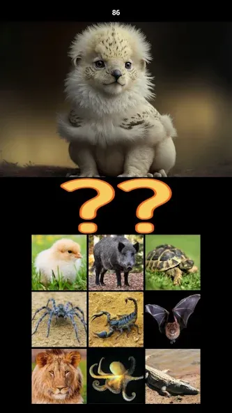 Hybrid Animals Crazy Lab Quiz (Хибридные животные Сумасшедшая лаборатория Викторина)  [МОД Много денег] Screenshot 5