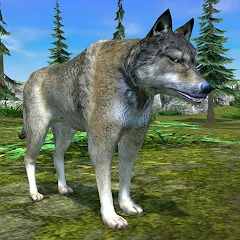 Скачать взлом Wolf Simulator - Animal Games  [МОД Unlocked] - последняя версия apk на Андроид