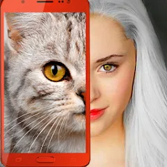 Взлом Kitten: what cat are you? joke  [МОД Mega Pack] - полная версия apk на Андроид