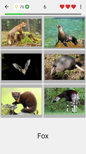 Animals Quiz Learn All Mammals  [МОД Unlocked] Screenshot 2