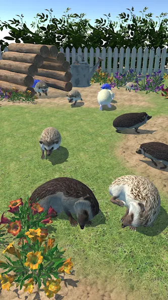 Hedgehog Friends (Хеджхог Френдс)  [МОД Бесконечные монеты] Screenshot 1