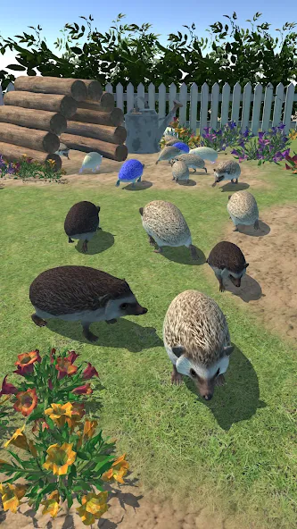 Hedgehog Friends (Хеджхог Френдс)  [МОД Бесконечные монеты] Screenshot 3