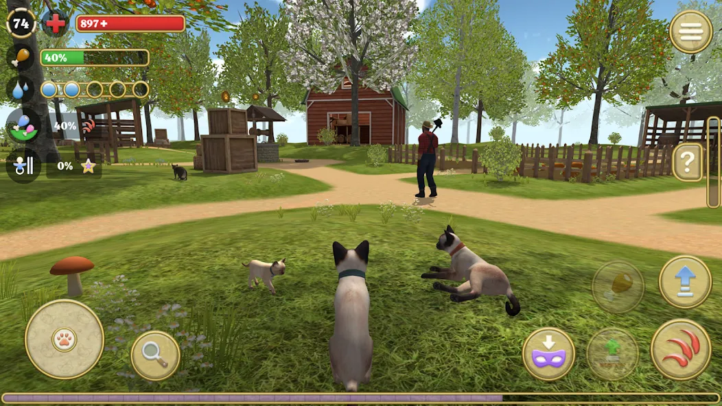 Cat Simulator : Kitties Family  [МОД Все открыто] Screenshot 1