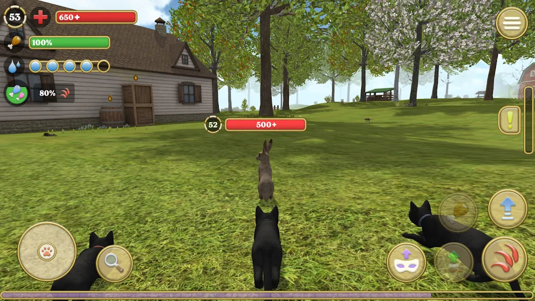 Cat Simulator : Kitties Family  [МОД Все открыто] Screenshot 2