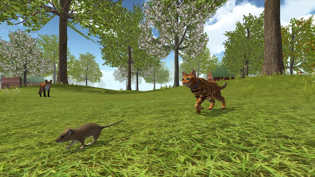 Cat Simulator : Kitties Family  [МОД Все открыто] Screenshot 4