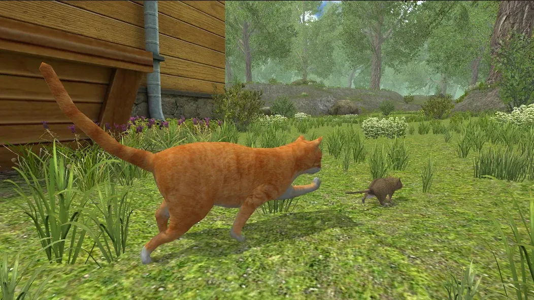 Mouse Simulator :  Forest Home  [МОД Меню] Screenshot 3