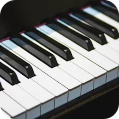 Скачать взлом Real Piano (Реал Пиано)  [МОД Menu] - полная версия apk на Андроид