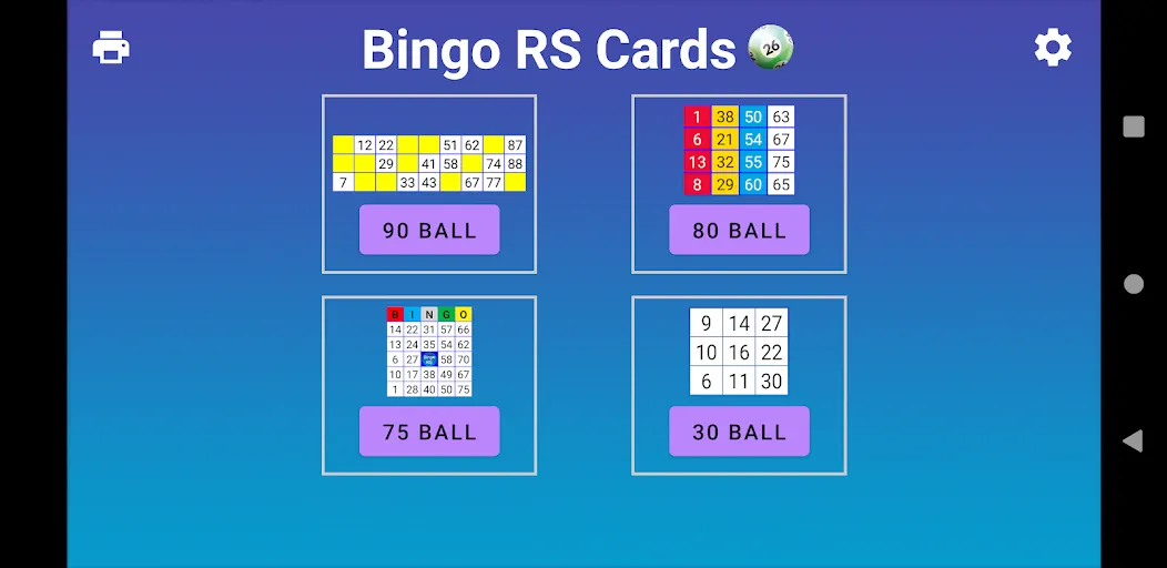 Bingo RS Cards (Бинго РС Карты)  [МОД Много денег] Screenshot 1