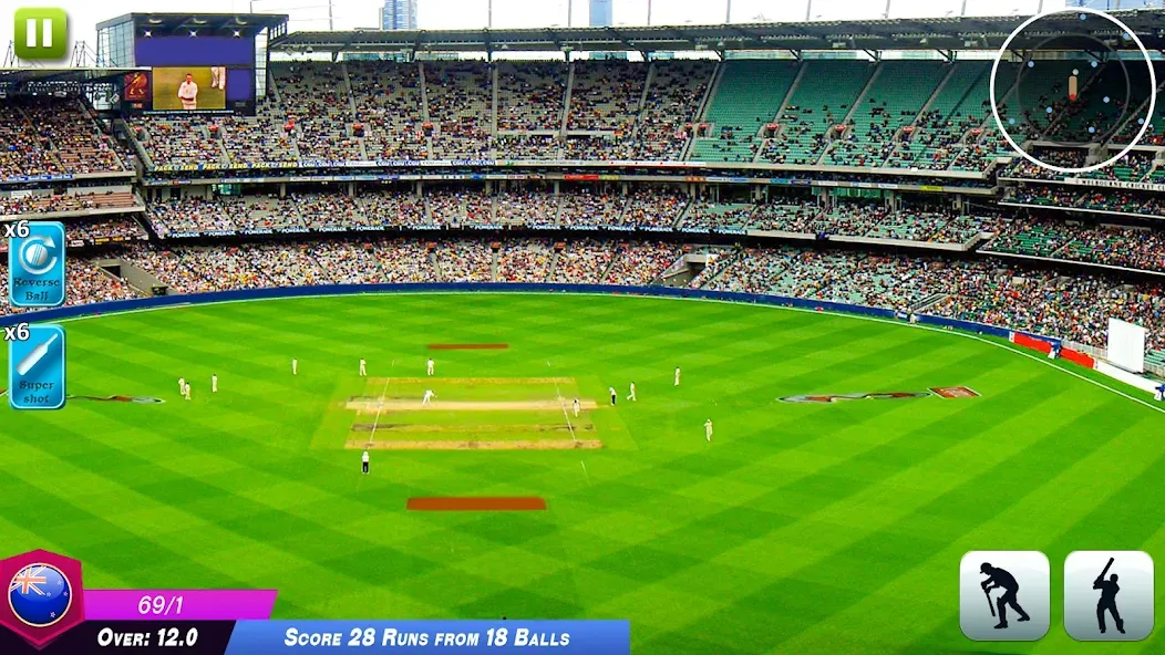 World Cricket Games Offline  [МОД Много денег] Screenshot 3