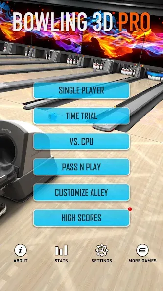 Bowling 3D Pro (Боулинг 3D Про)  [МОД Menu] Screenshot 4