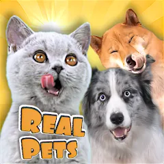 Взломанная Adopt a pet : Corgi Games (Риал Петс бай Фруви)  [МОД Menu] - стабильная версия apk на Андроид