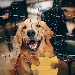 Взлом Jigsaw Go - Classic Jigsaw Puz (Джигсоу Го)  [МОД Бесконечные монеты] - полная версия apk на Андроид