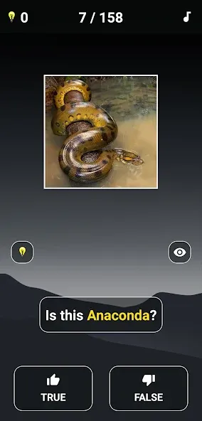 Animal Quiz: Guess the Animal  [МОД Бесконечные монеты] Screenshot 3