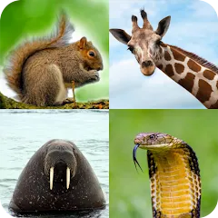 Взлом Animal Quiz: Guess the Animal  [МОД Бесконечные монеты] - стабильная версия apk на Андроид