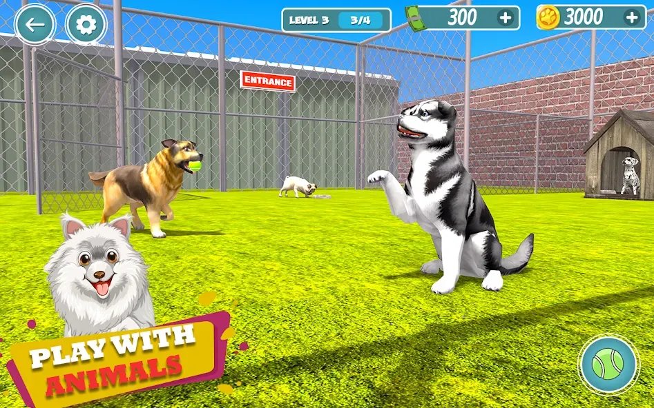 My Pet Animal Shelter World  [МОД Много денег] Screenshot 1