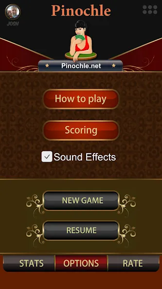 Pinochle.Net  [МОД Бесконечные монеты] Screenshot 2