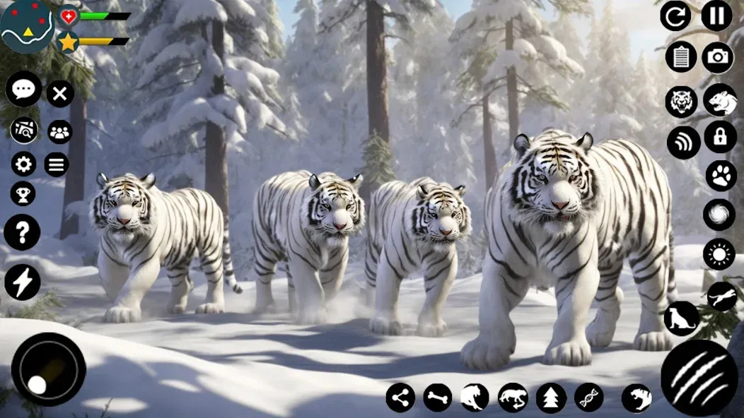 Arctic White Tiger Family Sim  [МОД Много денег] Screenshot 4