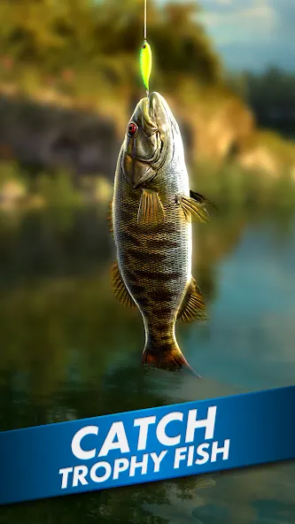 Ultimate Fishing! Fish Game  [МОД Mega Pack] Screenshot 1