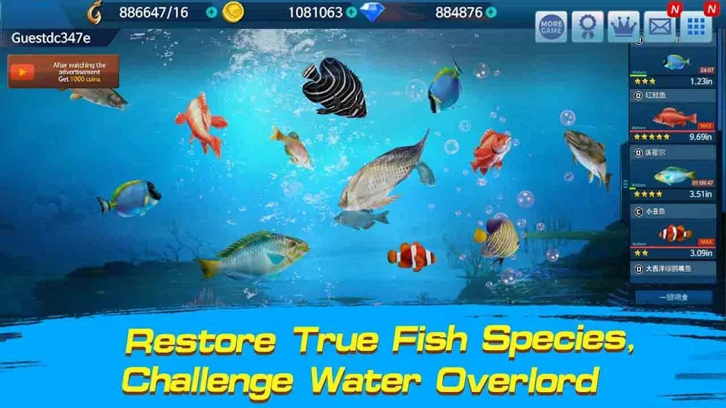 Fishing Championship  [МОД Бесконечные монеты] Screenshot 2