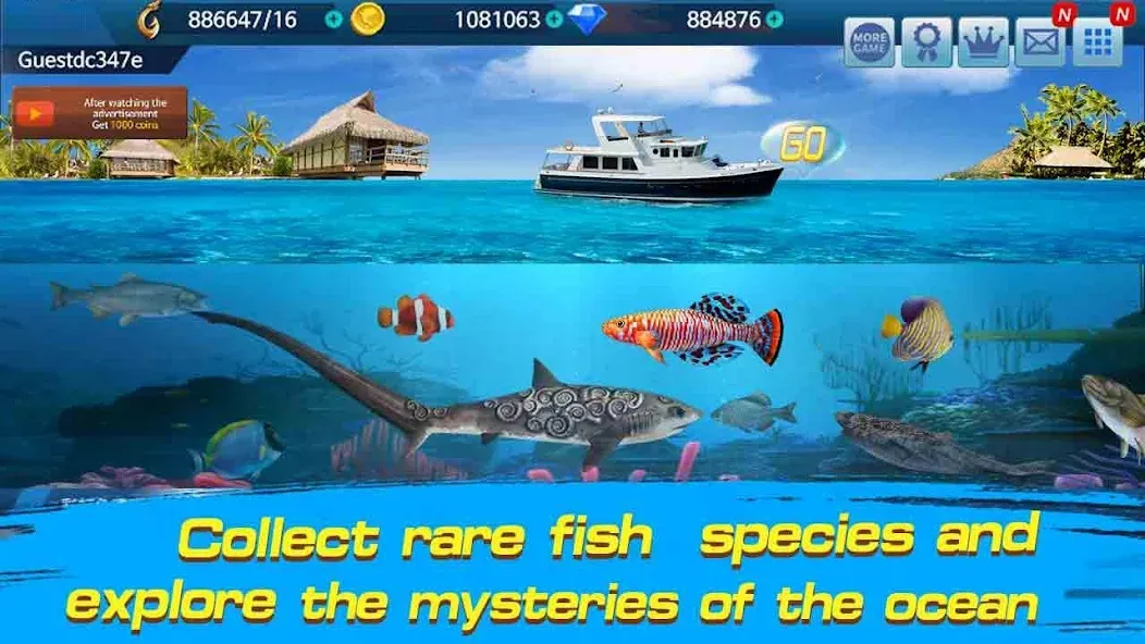 Fishing Championship  [МОД Бесконечные монеты] Screenshot 3