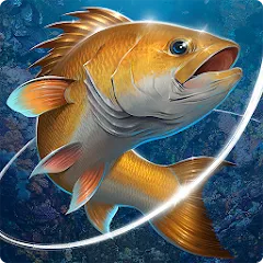 Взлом Fishing Hook  [МОД Меню] - стабильная версия apk на Андроид