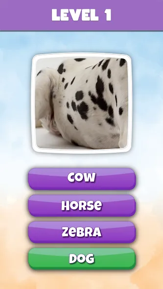 What is it? Pics Trivia Quiz  [МОД Бесконечные монеты] Screenshot 2