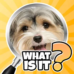 Скачать взлом What is it? Pics Trivia Quiz  [МОД Бесконечные монеты] - последняя версия apk на Андроид