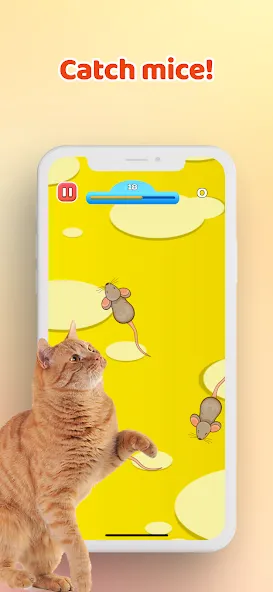 Games for Cat－Toy Mouse & Fish  [МОД Menu] Screenshot 1