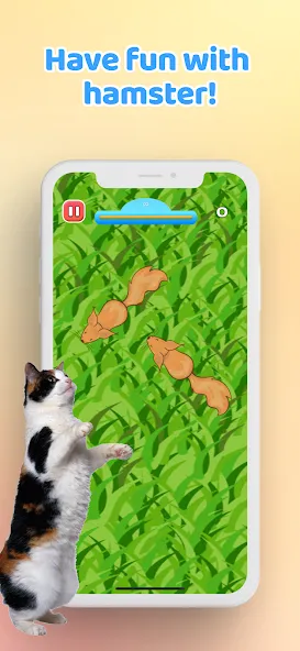 Games for Cat－Toy Mouse & Fish  [МОД Menu] Screenshot 5