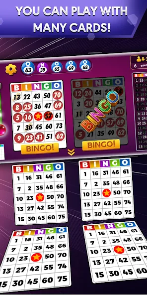 Bingo - Offline Bingo Game  [МОД Unlimited Money] Screenshot 1