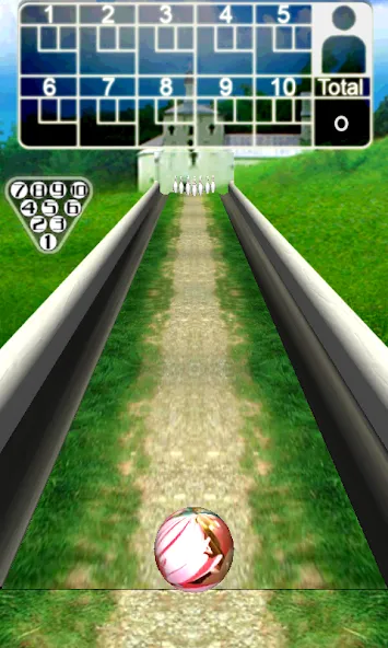 3D Bowling  [МОД Mega Pack] Screenshot 4