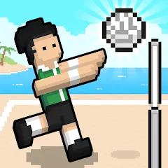 Взлом Volley Random (Воллей Рэндом)  [МОД Mega Pack] - последняя версия apk на Андроид