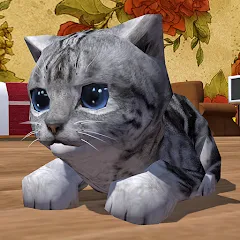 Взломанная Cute Pocket Cat 3D (Сьют Покет Кэт 3Д)  [МОД Mega Pack] - полная версия apk на Андроид