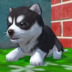 Взломанная Cute Pocket Puppy 3D (Сьют Покет Паппи 3Д)  [МОД Много монет] - полная версия apk на Андроид