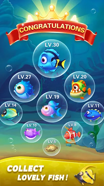 Block Ocean 1010 Puzzle Games (Блок Океан 1010 Головоломки)  [МОД Unlocked] Screenshot 5