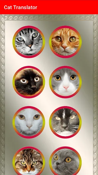 Translator for Cats Prank  [МОД Unlimited Money] Screenshot 3