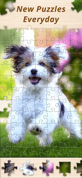 Jigsaw Premium Puzzles HD (Джигсоу)  [МОД Unlimited Money] Screenshot 5