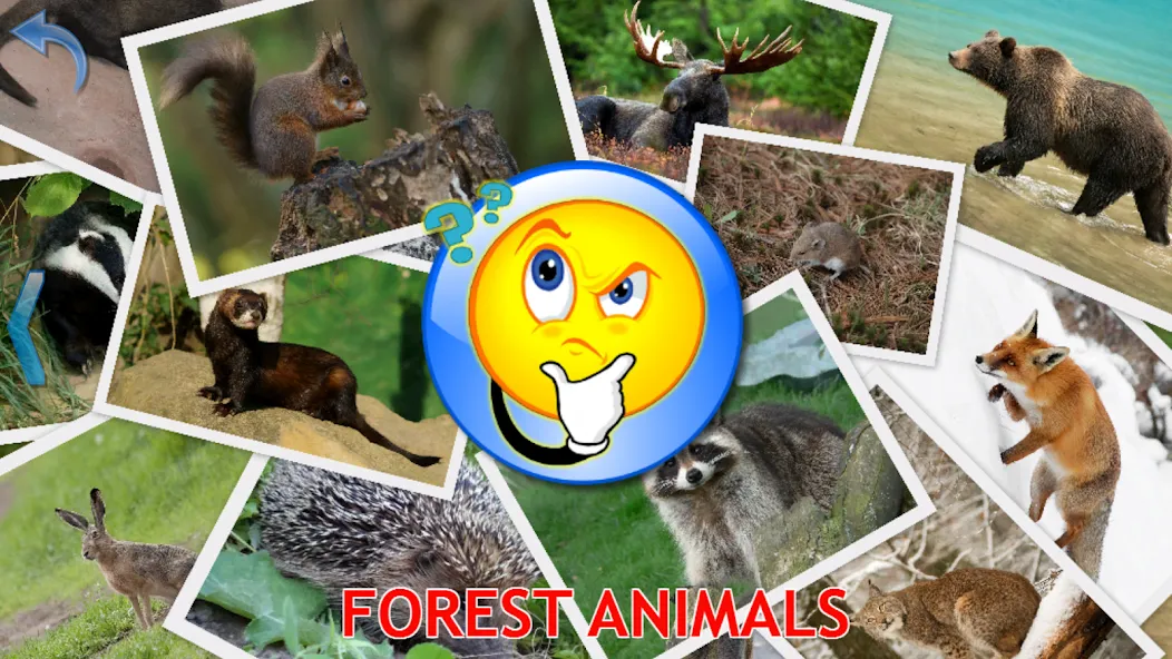 Animals for Kids  [МОД Бесконечные монеты] Screenshot 5