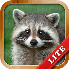 Взломанная Animals for Kids  [МОД Бесконечные монеты] - стабильная версия apk на Андроид